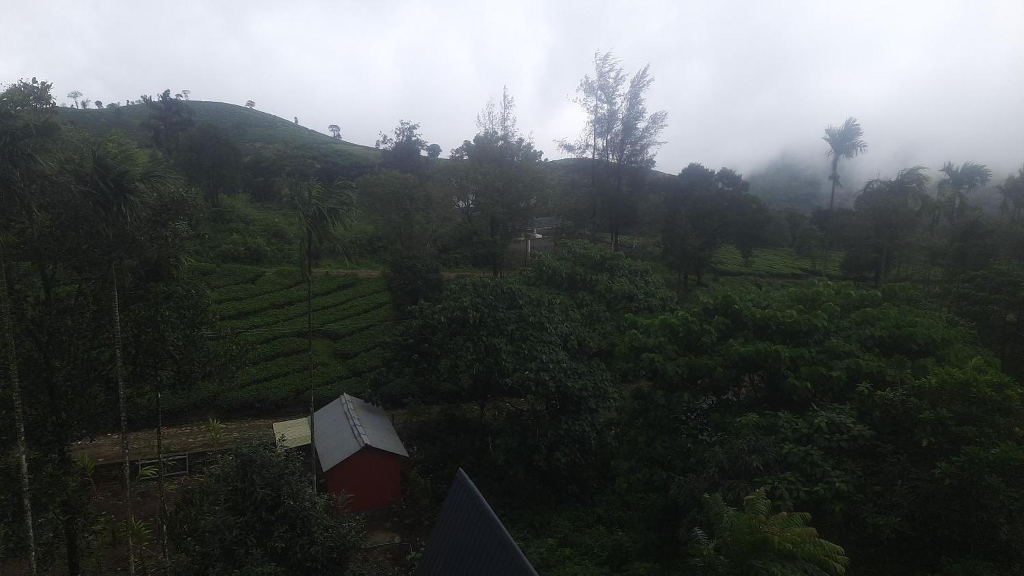 Paradise Meadows Vagamon Luaran gambar