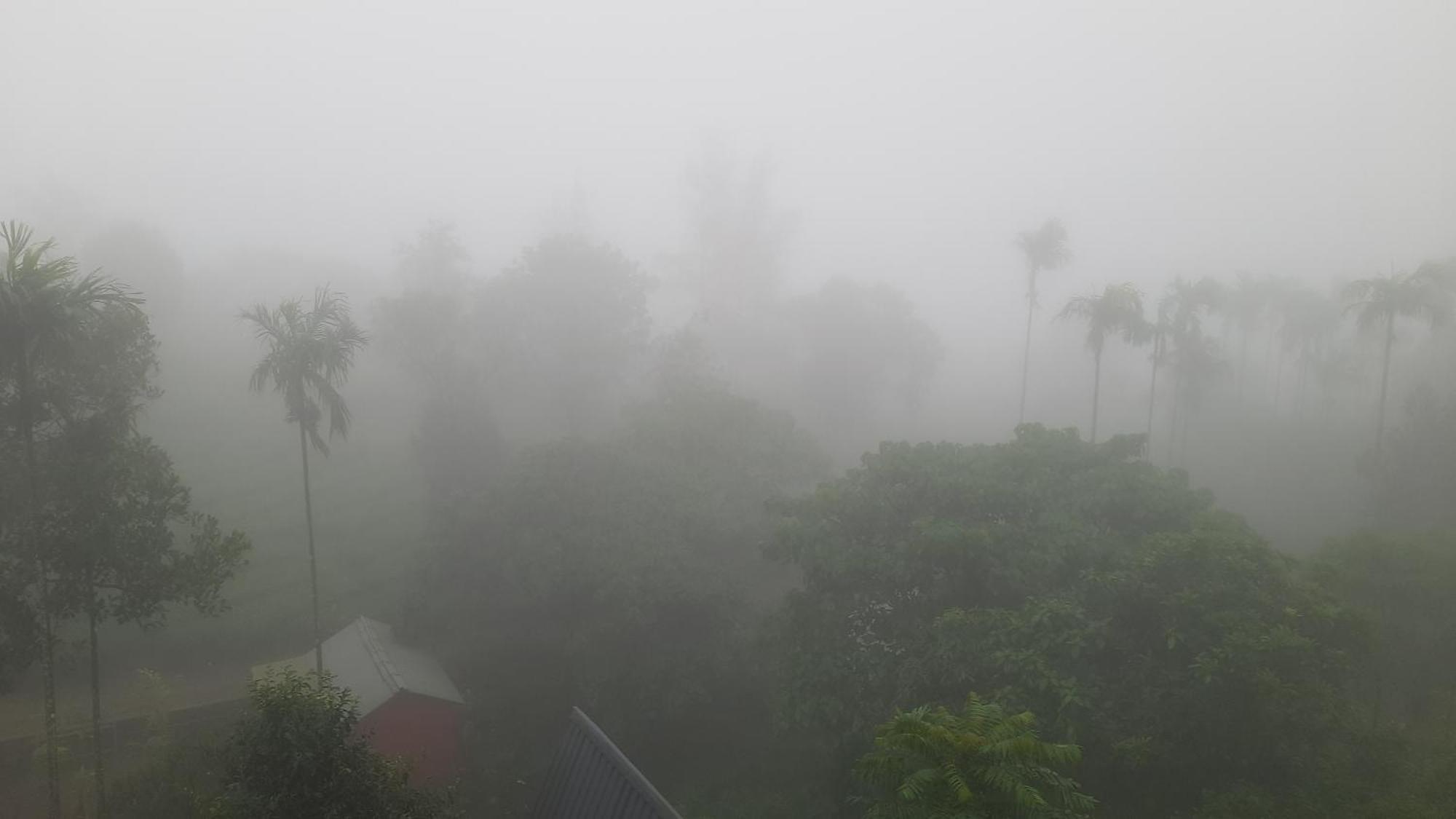 Paradise Meadows Vagamon Luaran gambar